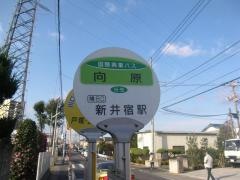 「向原(川口市)」バス停留所