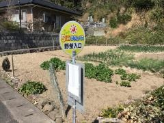 「野釜入口」バス停留所