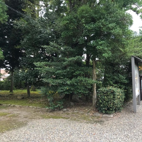 投稿写真2