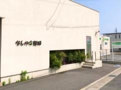 なしの木眼科