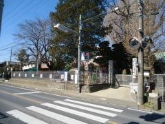 白井保育園