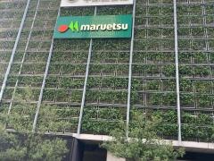 マルエツ　小杉店