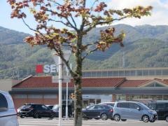 西友　茅野横内店