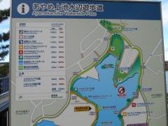 菖蒲上池