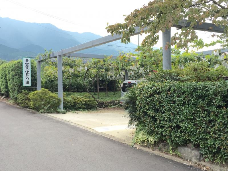 倉富実巨峰園