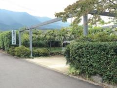 倉富実巨峰園