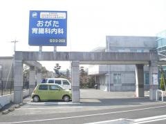 おがた胃腸科内科