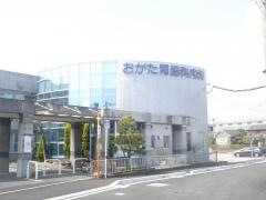 おがた胃腸科内科