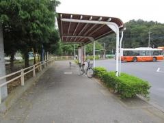 「東新井団地」バス停留所