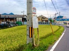 「中西」バス停留所