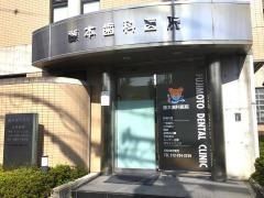 藤本歯科医院