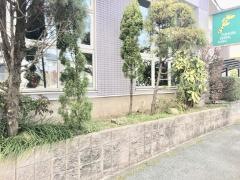 ふかうら歯科医院