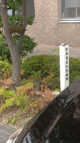 にじのまち