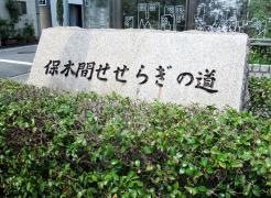 保木間せせらぎの道