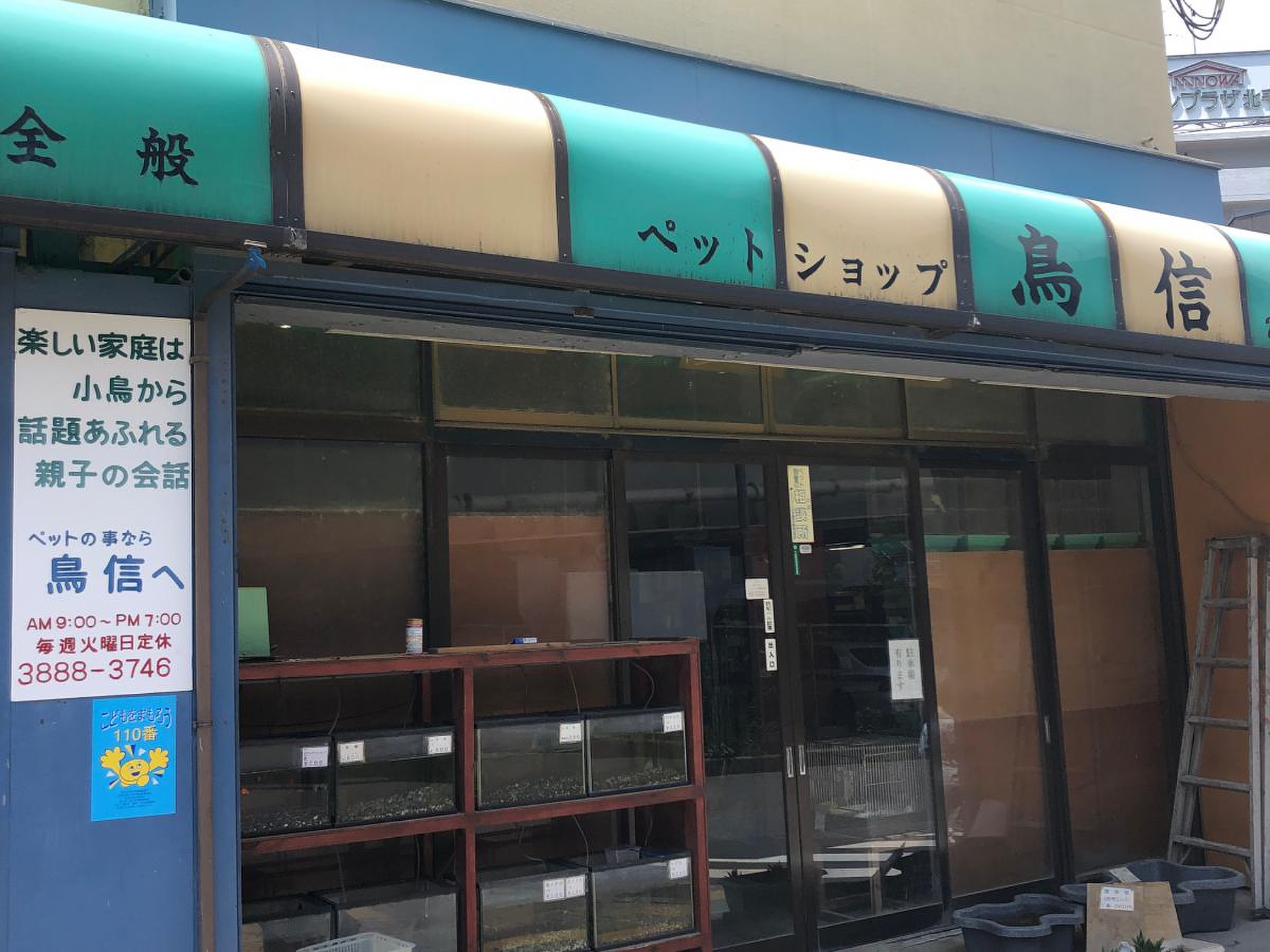 ペット ショップ 鳥 信
