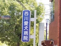 西川愛犬病院