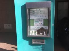 聖救主教会