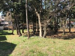 緑の広場29号