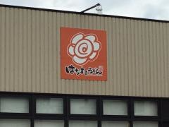 はなまるうどん　コーナン港北インター店