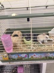 ホームセンタームサシ鶴岡店ペットセンター