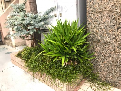 ドクターマップ 林間クリニック