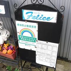 フェリーチェ