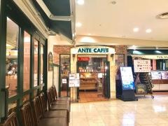 アンティカフェ