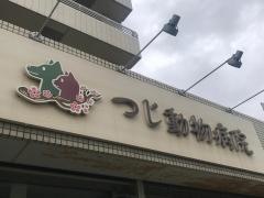 つじ動物病院
