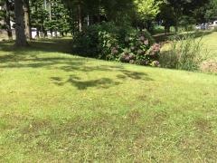 健康福祉センターやすらぎの郷