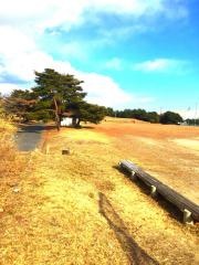 みなと運動公園