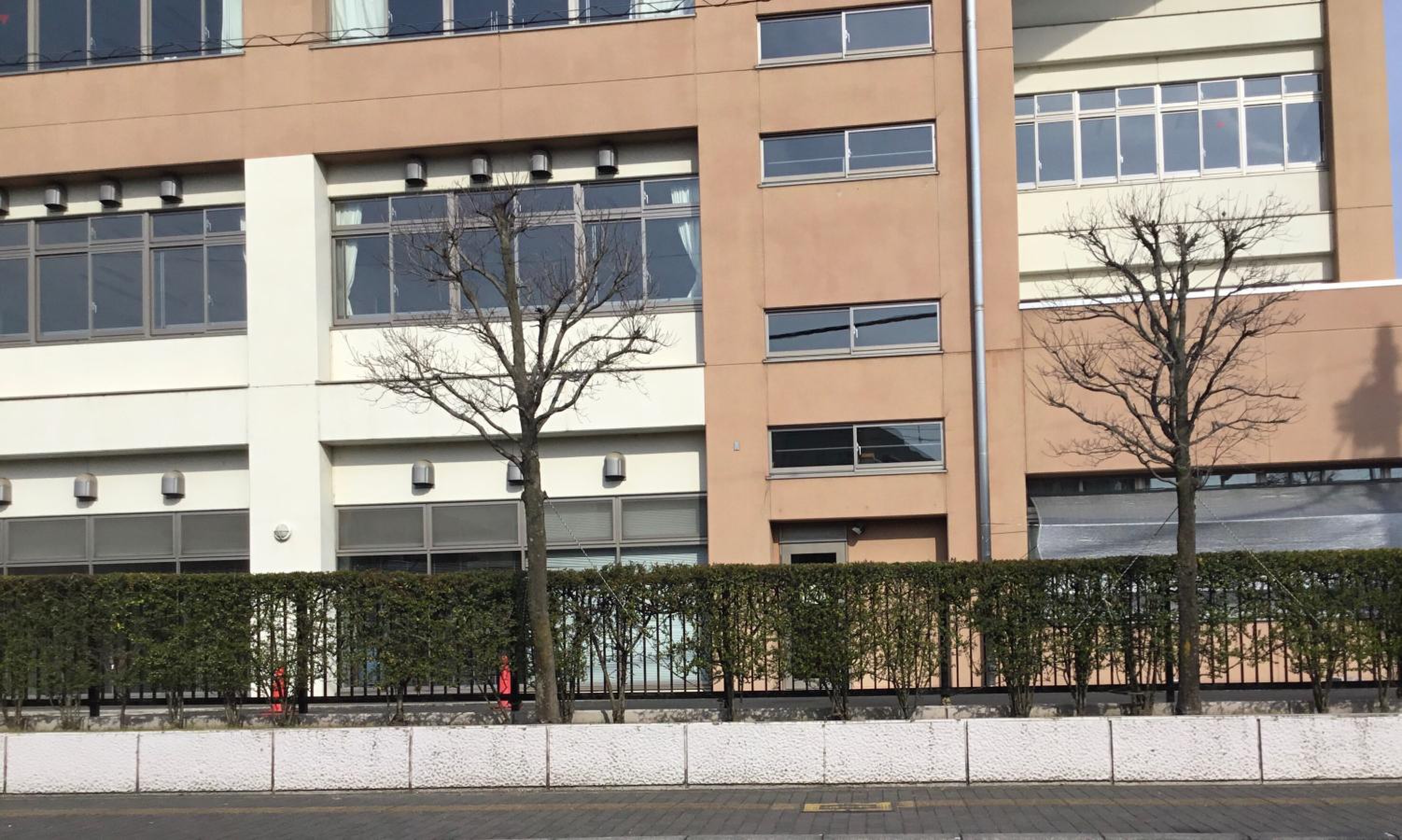 学 悠 館 高校
