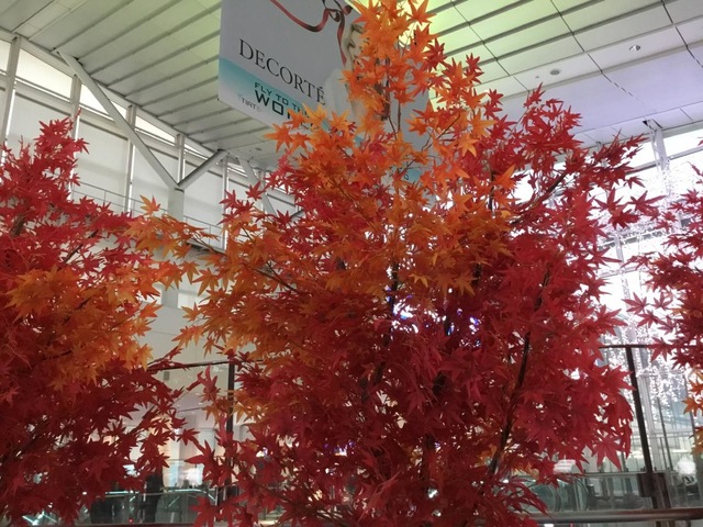 施設写真187