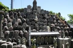 遍照寺