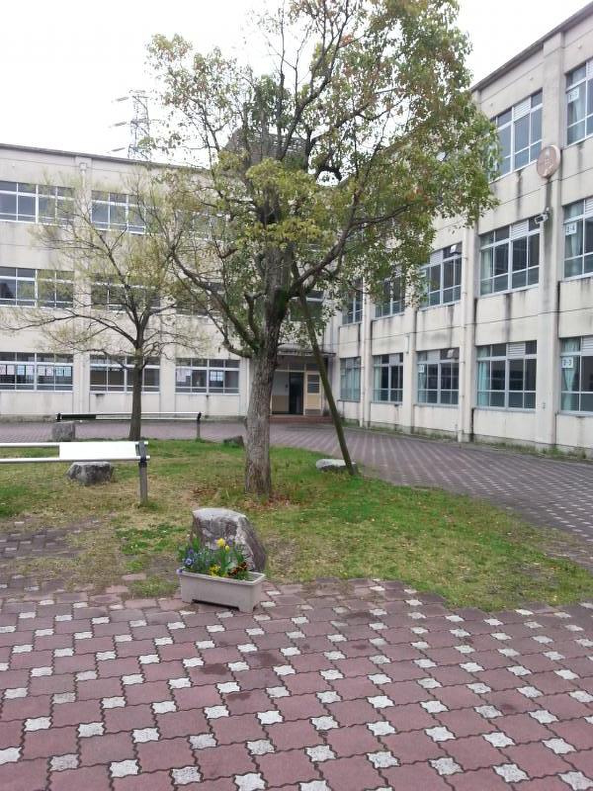 洛 水 中学校