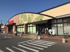 フレスタ北吉津店