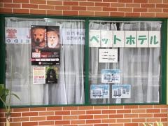 泊ペットショップ