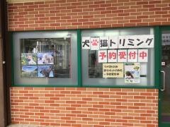 泊ペットショップ