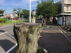 「六実高校入口」バス停留所