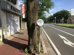 「六実高校入口」バス停留所