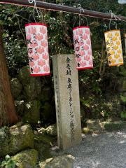 多度大社ちょうちん祭り