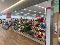 ダイソー　トナリエ大和高田店
