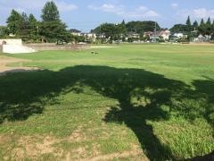 利根っ子公園