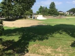 利根っ子公園