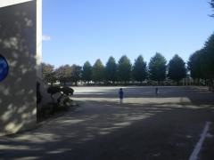 清瀬第十小学校