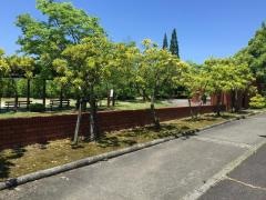 脇之島中央公園