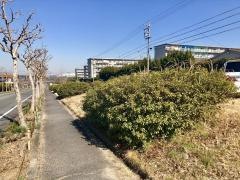 三重2号緑地