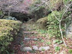 八田緑地