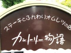 カントリー物語