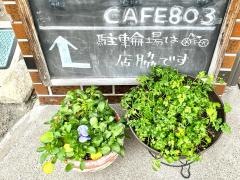 ＣＡＦＥ８０３