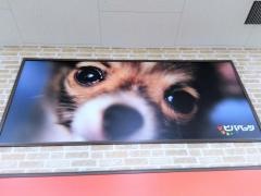 ハッピーベルビバペッツ　ちはら台店